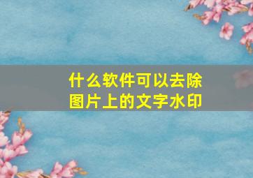 什么软件可以去除图片上的文字水印