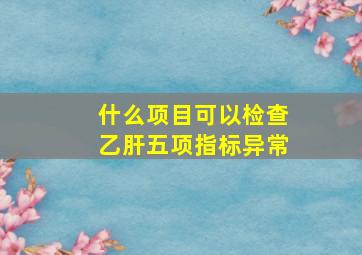 什么项目可以检查乙肝五项指标异常