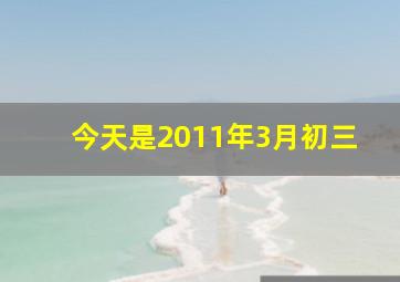 今天是2011年3月初三