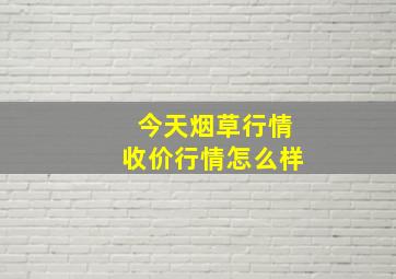 今天烟草行情收价行情怎么样