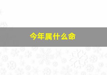 今年属什么命