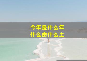 今年是什么年什么命什么土