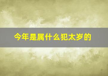 今年是属什么犯太岁的