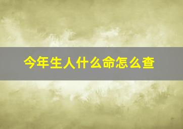 今年生人什么命怎么查