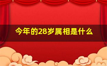 今年的28岁属相是什么