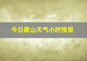 今日唐山天气小时预报