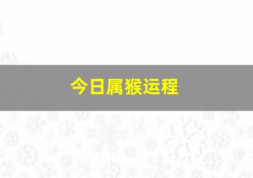 今日属猴运程