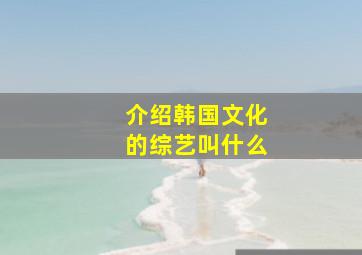 介绍韩国文化的综艺叫什么