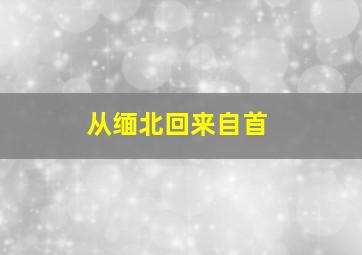 从缅北回来自首