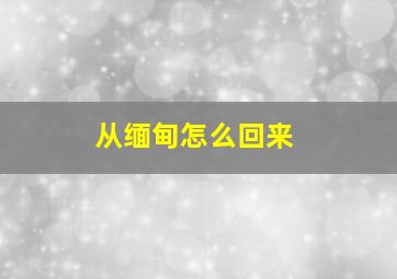 从缅甸怎么回来