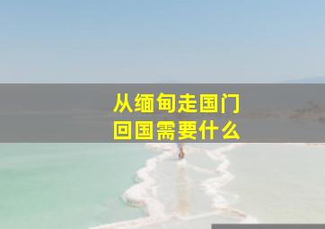 从缅甸走国门回国需要什么