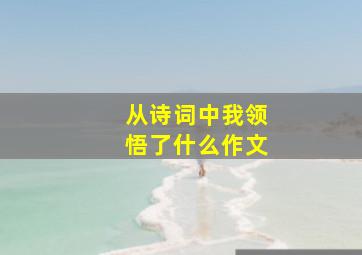 从诗词中我领悟了什么作文