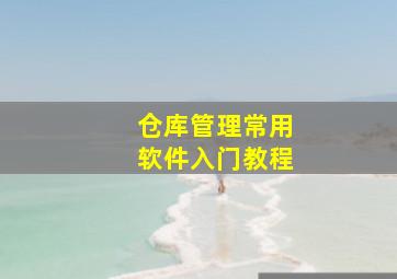 仓库管理常用软件入门教程