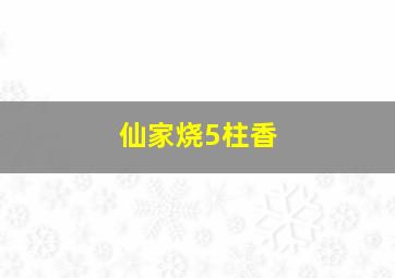 仙家烧5柱香