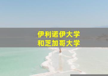 伊利诺伊大学和芝加哥大学