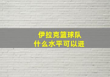 伊拉克篮球队什么水平可以进