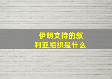 伊朗支持的叙利亚组织是什么