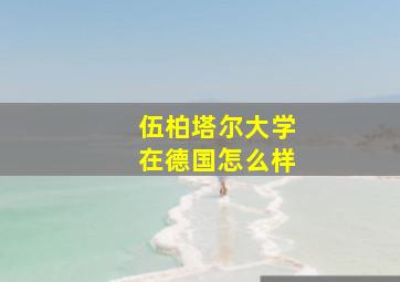 伍柏塔尔大学在德国怎么样