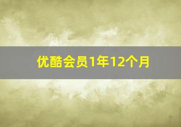 优酷会员1年12个月