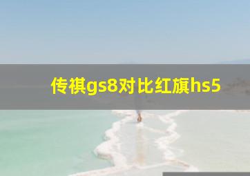 传祺gs8对比红旗hs5