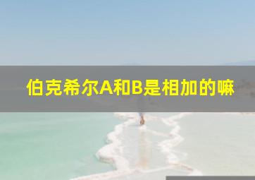 伯克希尔A和B是相加的嘛