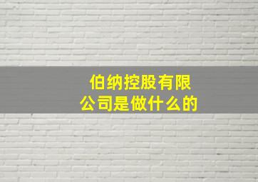 伯纳控股有限公司是做什么的