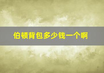 伯顿背包多少钱一个啊