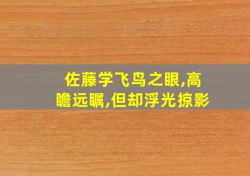 佐藤学飞鸟之眼,高瞻远瞩,但却浮光掠影