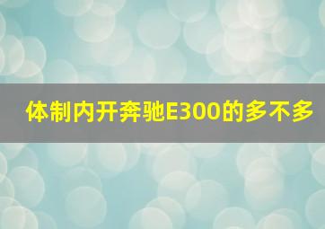 体制内开奔驰E300的多不多