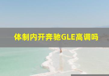 体制内开奔驰GLE高调吗