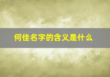 何佳名字的含义是什么