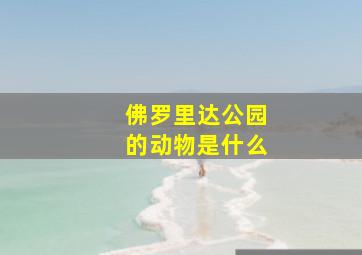 佛罗里达公园的动物是什么