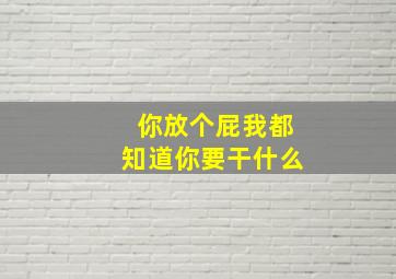 你放个屁我都知道你要干什么