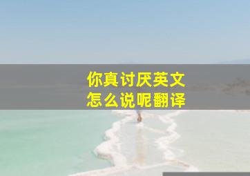 你真讨厌英文怎么说呢翻译