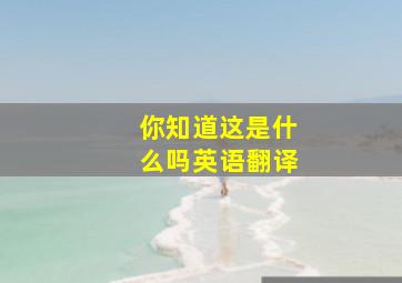 你知道这是什么吗英语翻译