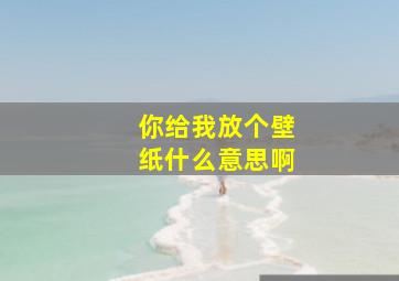 你给我放个壁纸什么意思啊