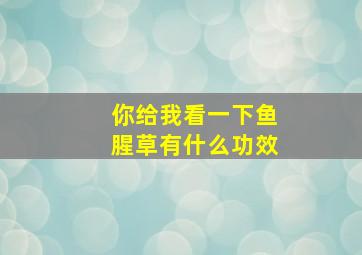 你给我看一下鱼腥草有什么功效