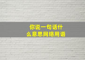 你说一句话什么意思网络用语