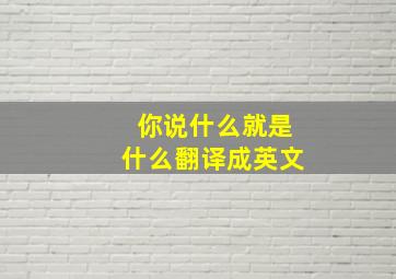 你说什么就是什么翻译成英文