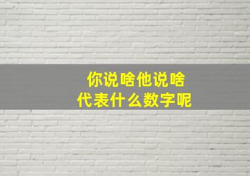 你说啥他说啥代表什么数字呢