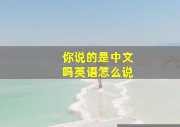 你说的是中文吗英语怎么说