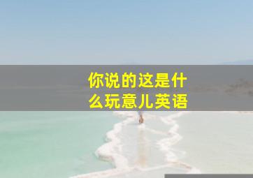 你说的这是什么玩意儿英语