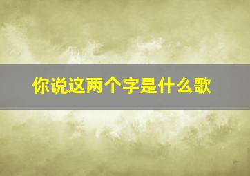 你说这两个字是什么歌