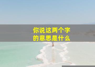 你说这两个字的意思是什么