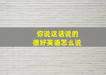 你说这话说的很好英语怎么说