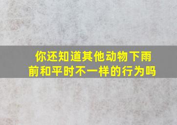 你还知道其他动物下雨前和平时不一样的行为吗