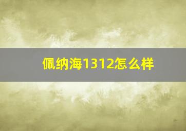 佩纳海1312怎么样