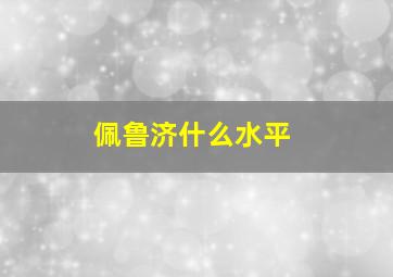 佩鲁济什么水平