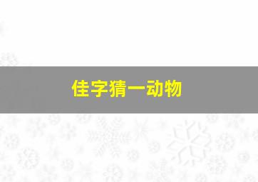 佳字猜一动物