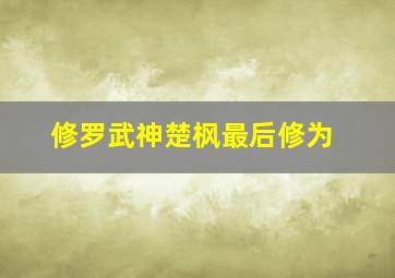 修罗武神楚枫最后修为